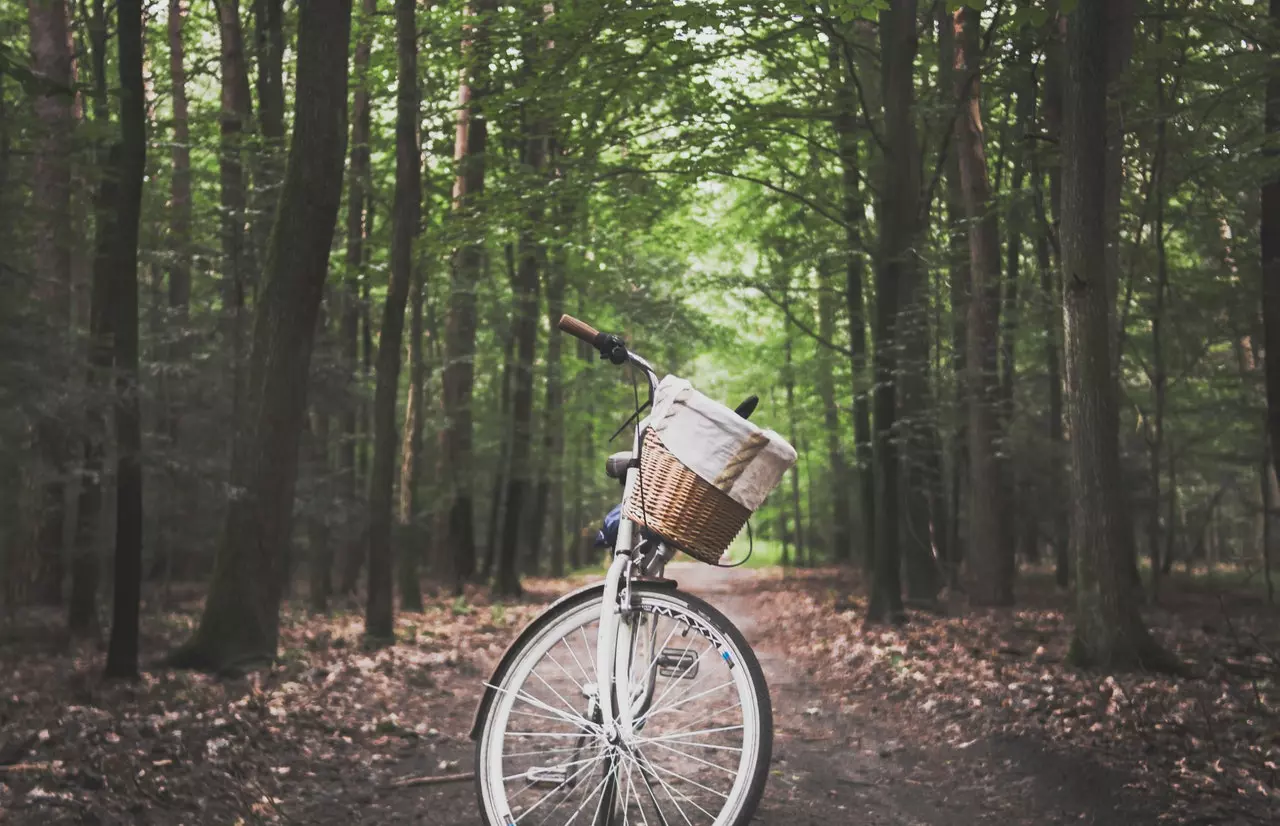 Vorderansicht eines stehenden weißen Fahrrads mit Weidenkorb auf einem Waldweg