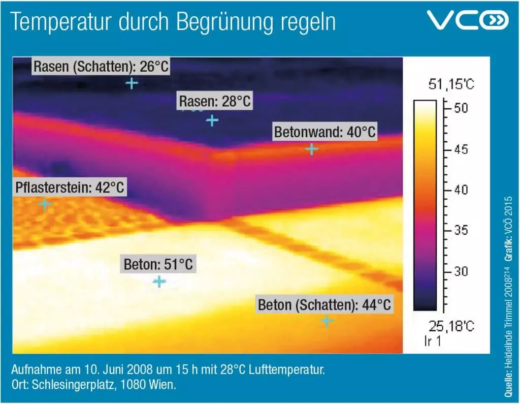 Infografik VCÖ Temperatur durch Begrünung regeln